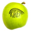 Logofrüchte, Apfel 