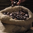 Bean to Bar