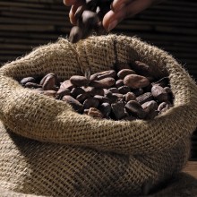 Bean to Bar