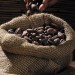 Bean to Bar